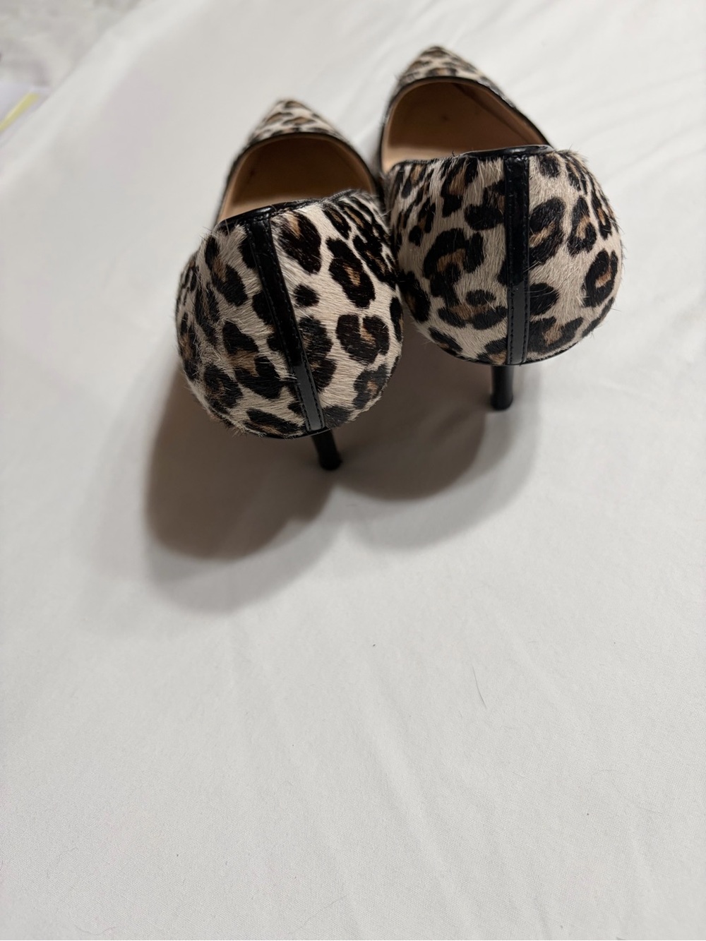 Ann Taylor Leopard-Print Pointed Toe Flats - Black, Brown, Cream - Picture 7 of 15